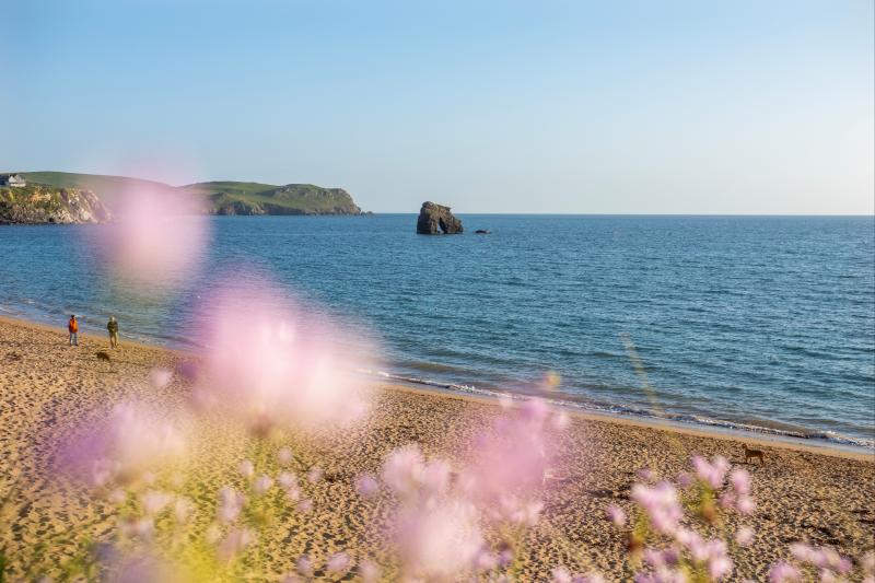 Explore the Best Beaches Just Moments from Thurlestone Hotel